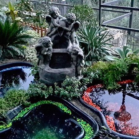 Villa Angel Рапало Екстериор снимка
